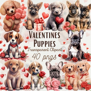 Aquarelle Saint-Valentin chiots Clipart 40 PNG Saint Valentin Clipart chiot mignon Clipart PNG Saint Valentin coeur graphiques PNG usage commercial