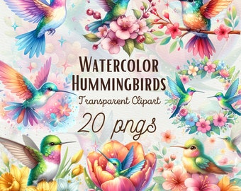 Watercolor Hummingbird Clipart Hummingbird PNG Floral Bird Clipart Nursery Wall Art Colorful Hummingbird Designs Card Making Commercial Use