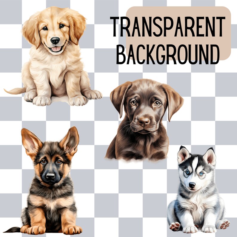 Explore Puppy Love with Cute Dog Breeds - Watercolor Dog Illustrations in PNG Bundle. Adorable Puppy PNG Bundle for Cute Animals Designs. Commercial Use Ready