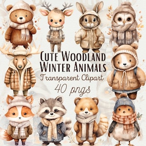 Clipart de animais da floresta em aquarela com clipart de animais da floresta Designs aconchegantes de inverno Gráficos de animais fofos Download digital para uso comercial
