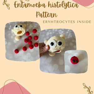 May include: Crocheted amigurumi toy of Entamoeba histolytica, a parasitic amoeba, with red crocheted erythrocytes inside. The toy is beige with black eyes and a red mouth. The text "Entamoeba histolytica Pattern" and "ERYTHROCYTES INSIDE" is visible in the image.