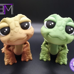Flexi Turtle 3D Printed Fidget Toy