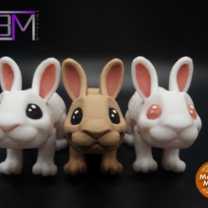 Mini Bunny 3D Printed Articulated Fidget Toy