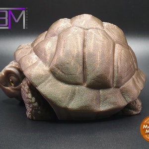 Tortoise 3D printed Articulated Fidget Toy image 6
