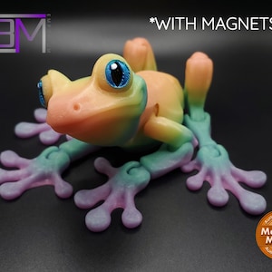 Tree Frog WITH MAGNETS 3D Printed Articulated Fidget Toy