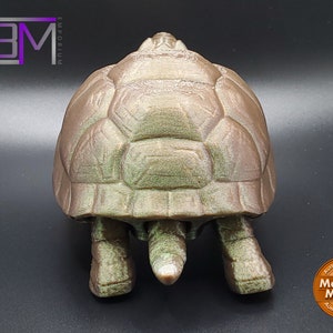 Tortoise 3D printed Articulated Fidget Toy image 4