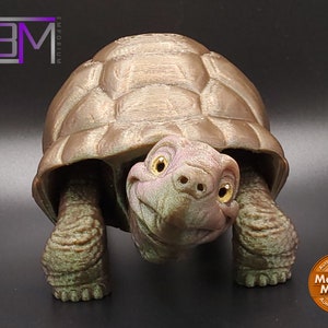 Tortoise 3D printed Articulated Fidget Toy
