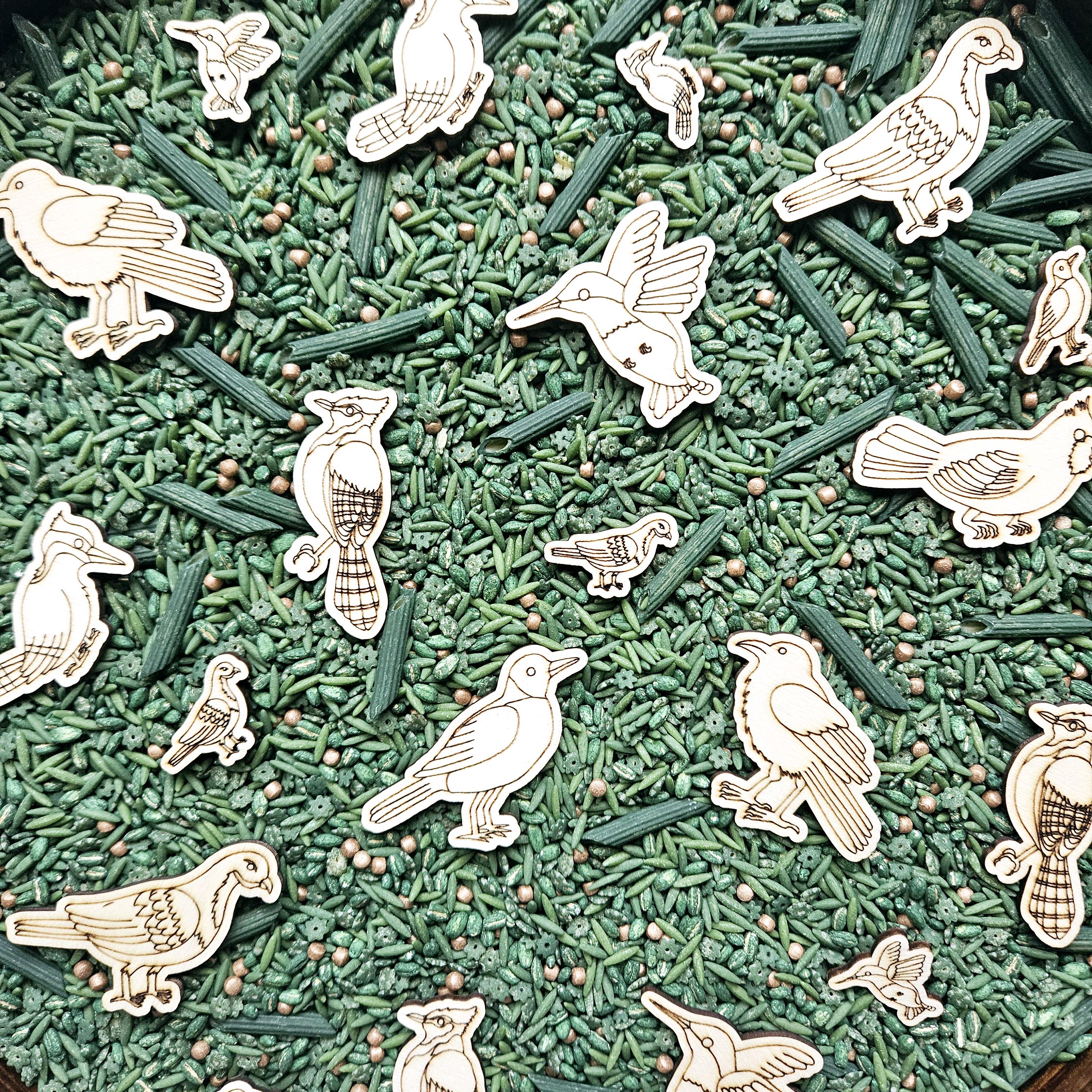 Backyard Birds Math Counters (hand Drawn) - Etsy