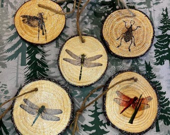 Grillige rustieke houten libel sprinkhaankever kerstornamenten voor insectenliefhebbers