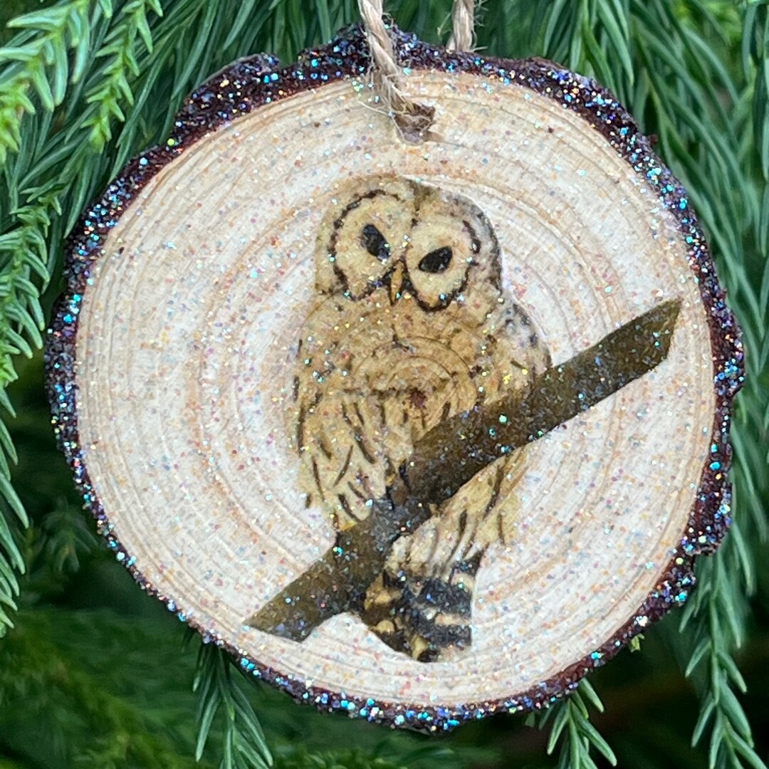 Owl Holiday Gift, Owl Tree Ornament, Owl Thank You Gift, Barred Owl