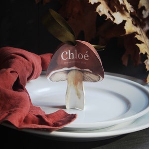 SOFORTIGER DOWNLOAD DRUCKBAR Pilz bearbeitbar und personalisierbar Tischkarte Namenskarte, Hochzeit im Herbst, Selbstbearbeitung, Herbstdekor.