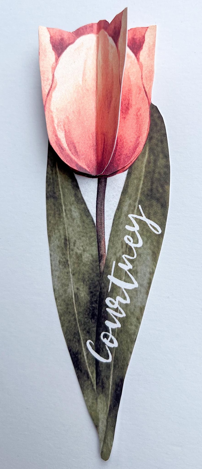 May include: A pink tulip with green leaves and the name "Courtney" written in white script.