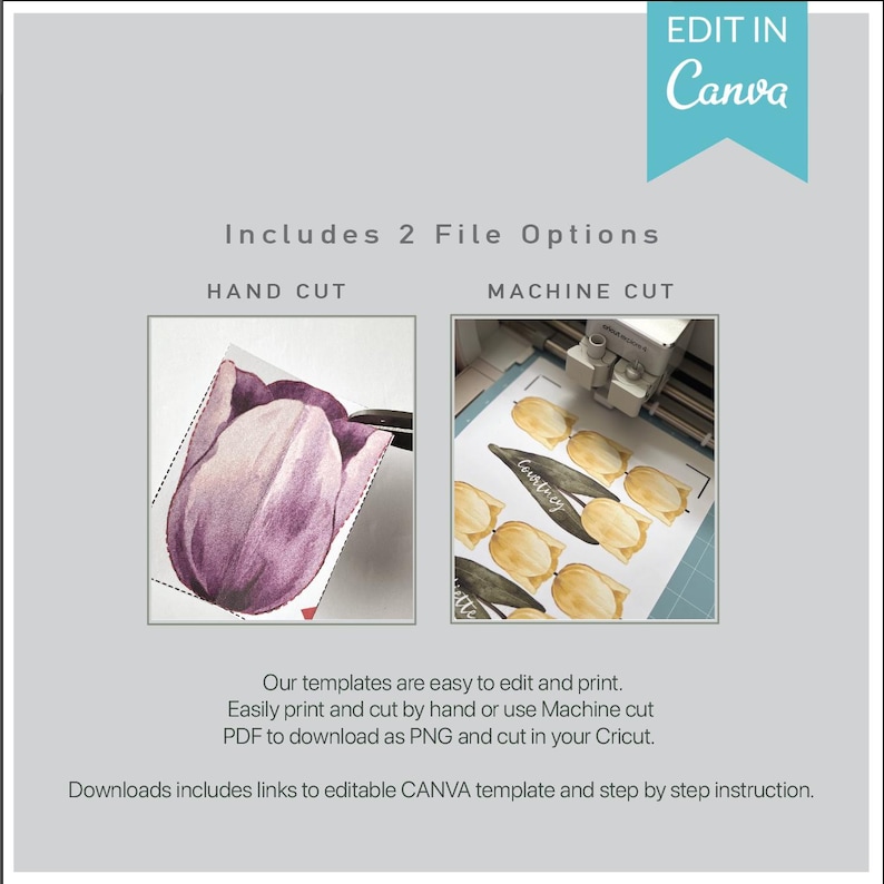 Tulip Printable Place Card: Spring Wedding, Easter Brunch. Edit in Canva, download as a PNG (Machine cut) or PDF (Hand cut) image 3