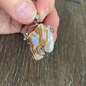 May include: A silver pendant featuring a large, iridescent, brown and white shell with a silver wire design.