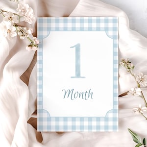 Blue Gingham Milestone Cards, Baby Boy Milestone Cards, Baby Boy Monthly Milestones, Printable Milestone Card, Printable Baby Milestone Card