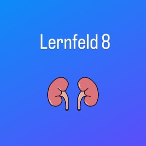 Peut inclure: Un fond bleu avec le texte "Learnfeld 8" en blanc. Deux reins de dessin animé sont au centre de l'image.