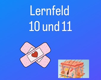 Lernfeld 10 und 11