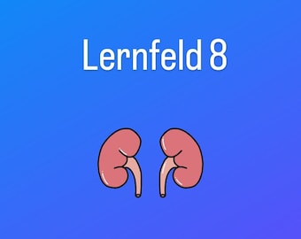 Lernfeld 8