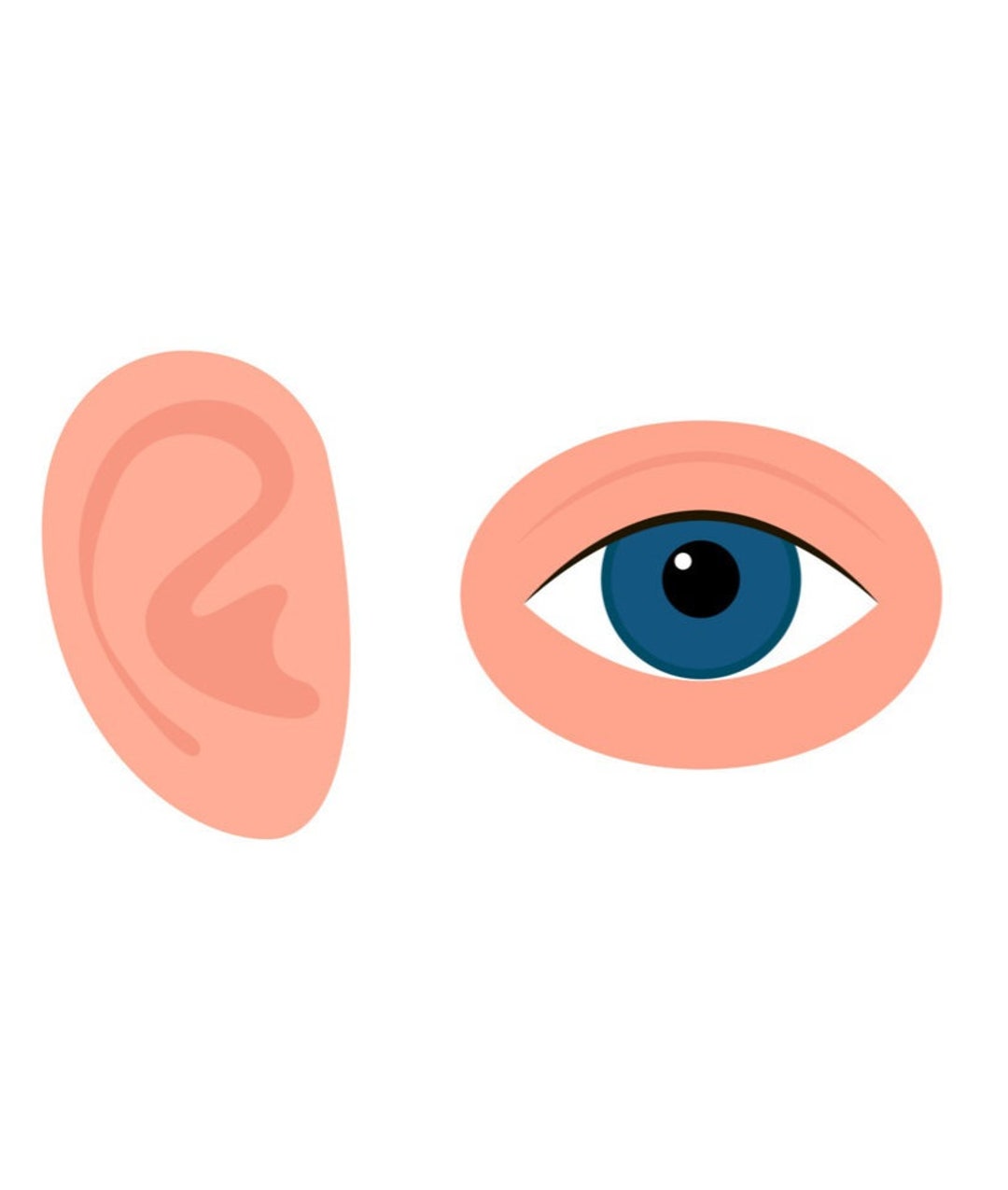 Cheat Sheet Eye and Ear - Etsy