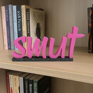 Hot Pink Smut Bookshelf Sign: 3D Printed Book Nook Decor