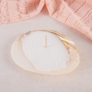 May include: A white candle with a wooden wick sits in a natural seashell holder. The shell is a light beige color with brown accents.