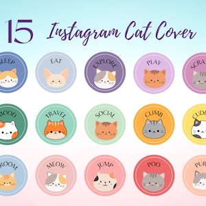 15 Cat Icons - Creative VIP