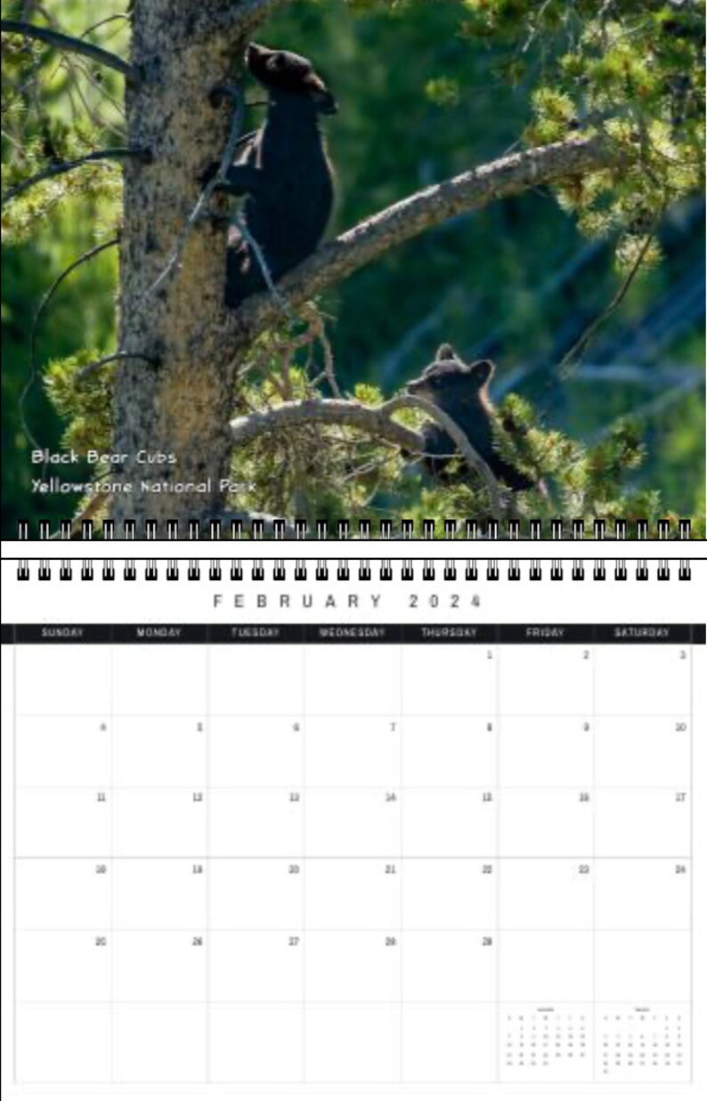 Wildlife 2024 Calendar Etsy