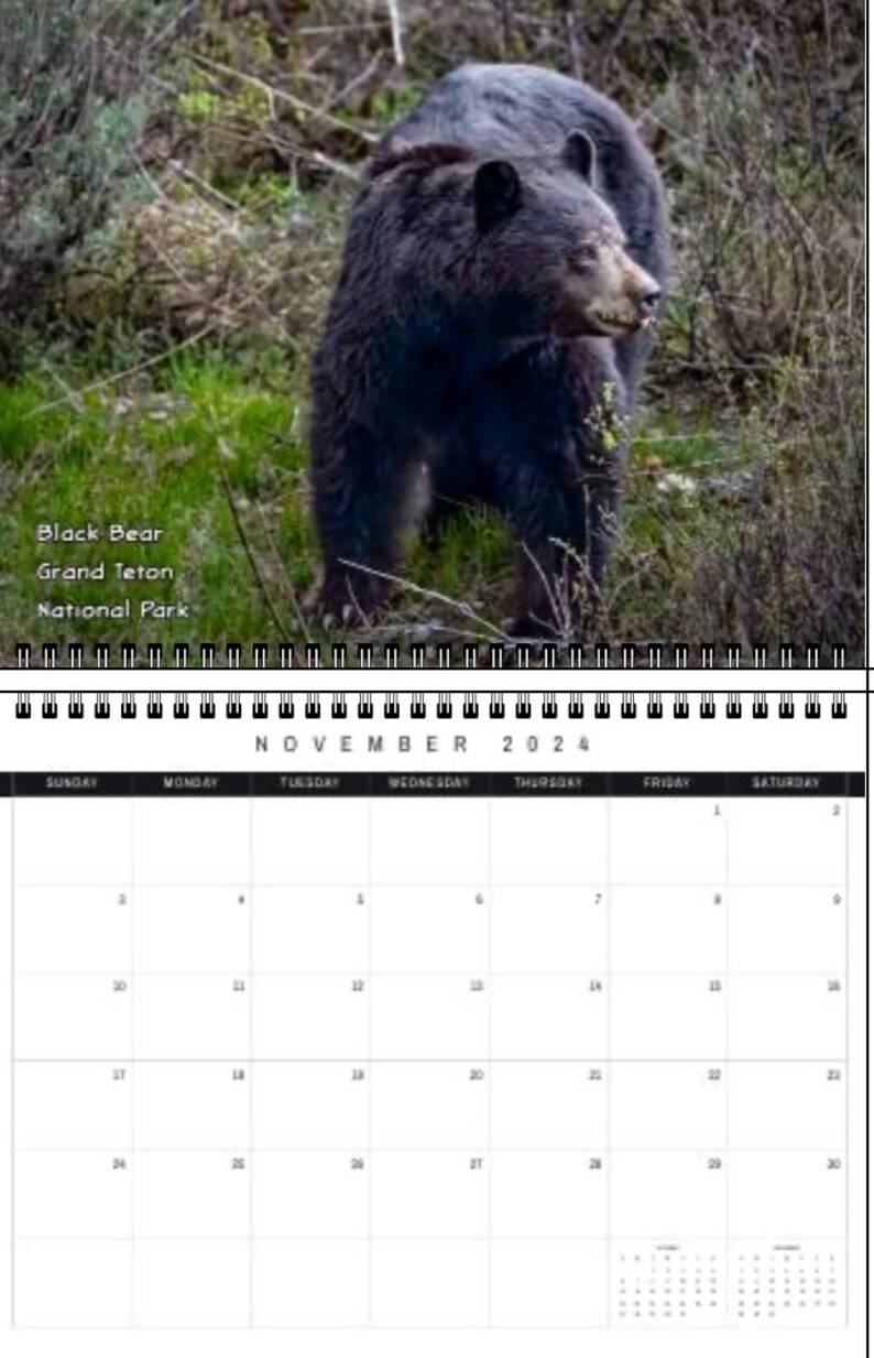 Wildlife 2024 Calendar Etsy