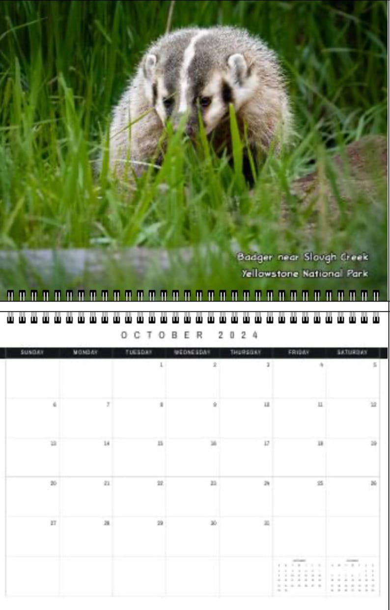 Wildlife 2024 Calendar Etsy