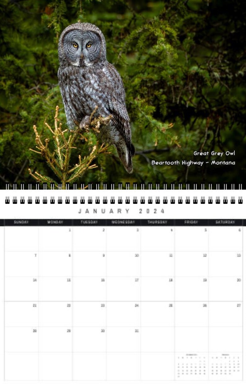 Wildlife 2024 Calendar Etsy