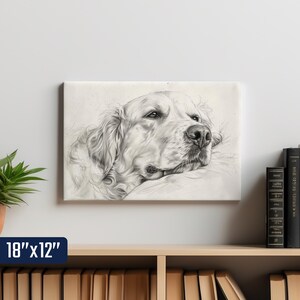 A black and white sketch of a dog's head is displayed on a wall, hanging above a bookshelf filled with books.