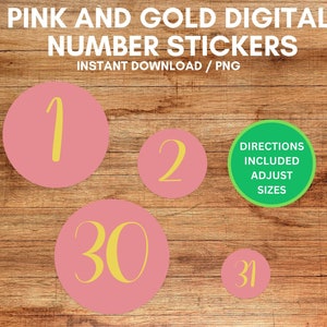 Pink and Gold Number Stickers / Digital Download / Stickers for Planners and Diaries / Stickers for Goodnotes and Noteshelf