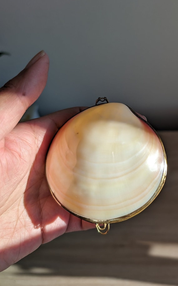 Vintage Real Seashell Clam Shell Brass Coin Purse