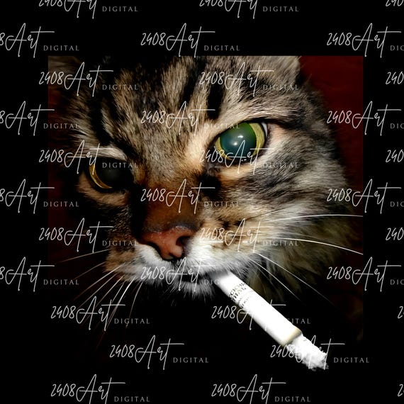 smoking a cigarette meme Funny Smoking Cat Meme PNG, Cigarette Kitty Gen Z Joke SVG, Stupid Brainrot  Gift Sublimation, Cat Smoking Cigarette Meme, Cat Lover Digital