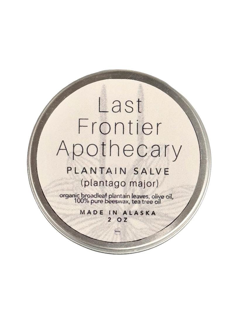 ALASKAN Wild Broadleaf Plantain Salve, 2 Ounce, Healing salve, Handmade, Wildcrafted, Plantago major, made with Tea Tree Oil