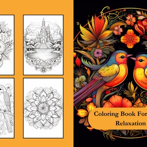 A Coloring Book for Adults Relaxation