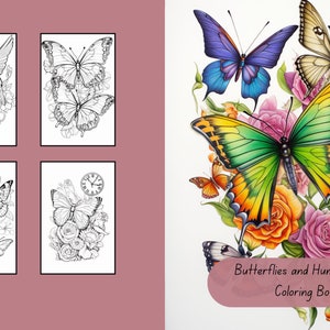 Libro para colorear de mariposas y colibríes