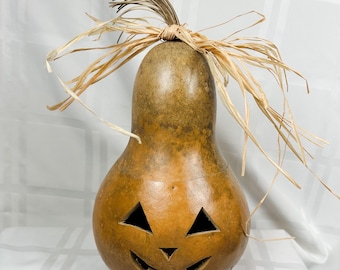 Pumpkin  Gourd (TAN)