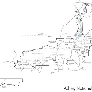 Mapa da Floresta Nacional de Ashley - 16 x 20