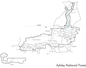 Ashley National Forest Map - 16 x 20