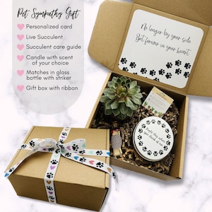 Pet Loss Sympathy Gift Cat - Pet Loss Gift - Pet Memorial - Pet memorial - Succulent Sympathy Gift - sorry gift -  live succulent gift box