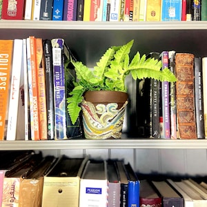 May include: A decorative potted fern sits on a shelf surrounded by books. The pot is brown with a detailed, colorful design. The books are of various sizes, colors, and titles, creating a visually rich and organized display. The shelf is white.