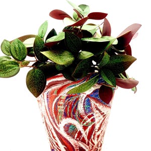 May include: A plant with dark green and reddish-maroon leaves sits in a tapered pot featuring a hand-painted, swirling abstract pattern in vibrant shades of red, white, and blue. The base of the pot displays a small blue signature mark.