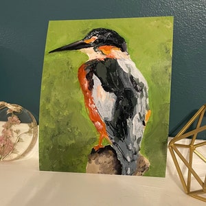 Estampado de pájaros coloridos