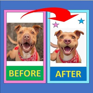 Pixar Style Portrait Of Your Pet or Multiple Pets Delivered in One Day