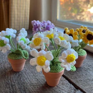 Cute Crochet Daisy Flower Pot, Handcrafted Home Decor, Charming Car or Desktop Accessory, Thoughtful Gift for Her&quot;