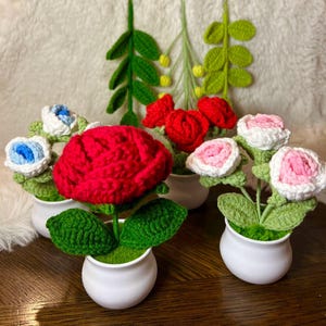 May include: Five crocheted flower arrangements in white ceramic pots. The flowers are red, pink, and blue. The flowers are arranged in a bouquet style.