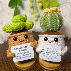 Handmade Crochet mini Caring vegie,Emotional Support sunflower, potato, Positive Affirmation gift for Family/Friends,coworker,Mothers Day 2ps sweetsucc+cactus