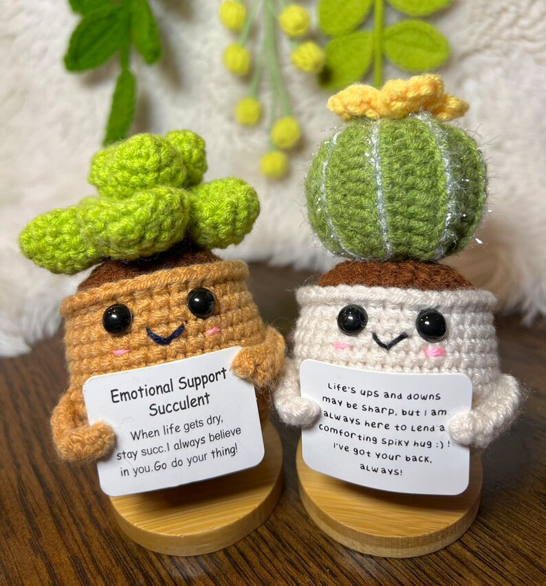 Handmade Crochet mini Caring vegie,Emotional Support sunflower, potato, Positive Affirmation gift for Family/Friends,coworker,Mothers Day 2ps sweetsucc+cactus