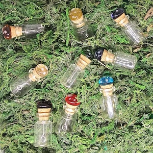 Puede incluir: Pequeñas botellas de vidrio con tapones de corcho, cada una coronada con una cuenta en forma de hongo de varios colores. Las cuentas son rojas, azules, marrones y amarillas, sobre un fondo de musgo verde.